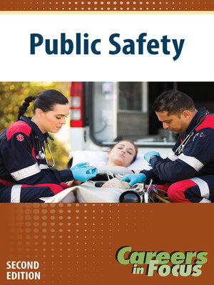 cover image of Public Safety